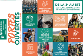 Enlarge the image link