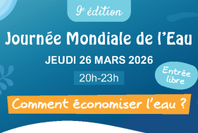 Enlarge the image link