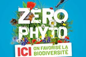 Enlarge the image link