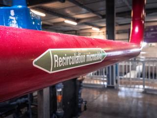 Enlarge the image link