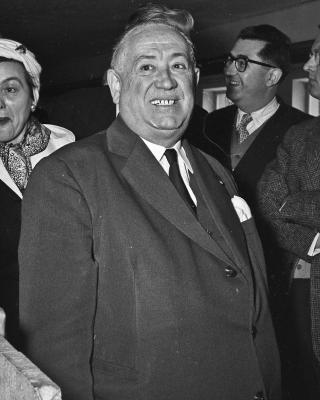 Enlarge the image link