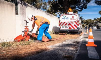 Enlarge the image link