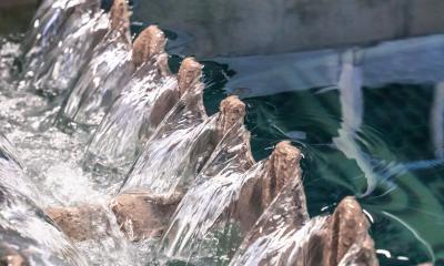 Enlarge the image link