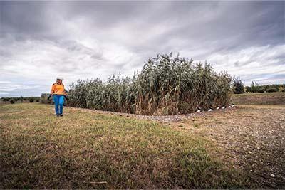 Enlarge the image link