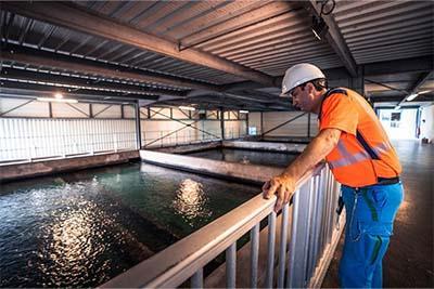 Enlarge the image link