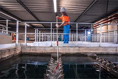 Enlarge the image link