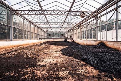 Enlarge the image link