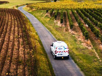 Enlarge the image link