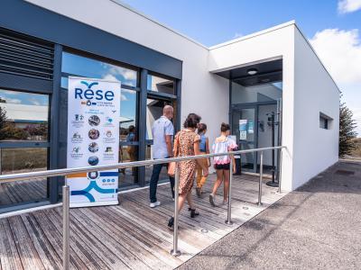 Enlarge the image link